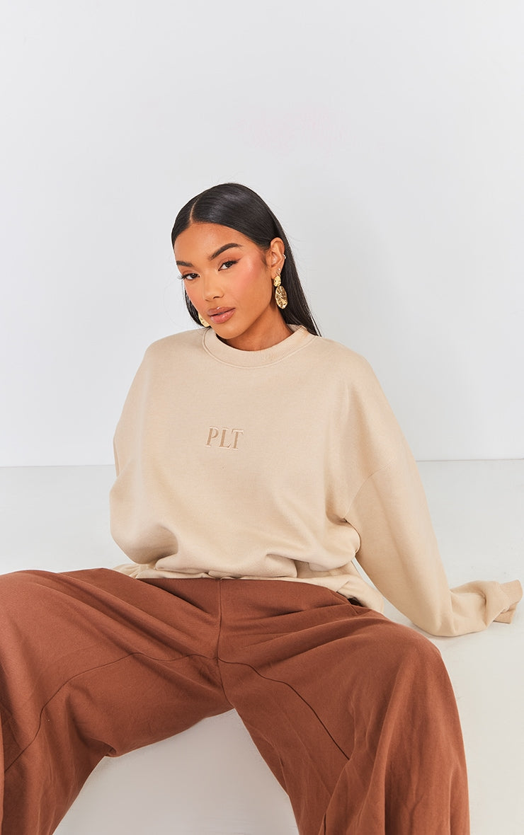 PRETTYLITTLETHING Stone Embroidered Sweatshirt