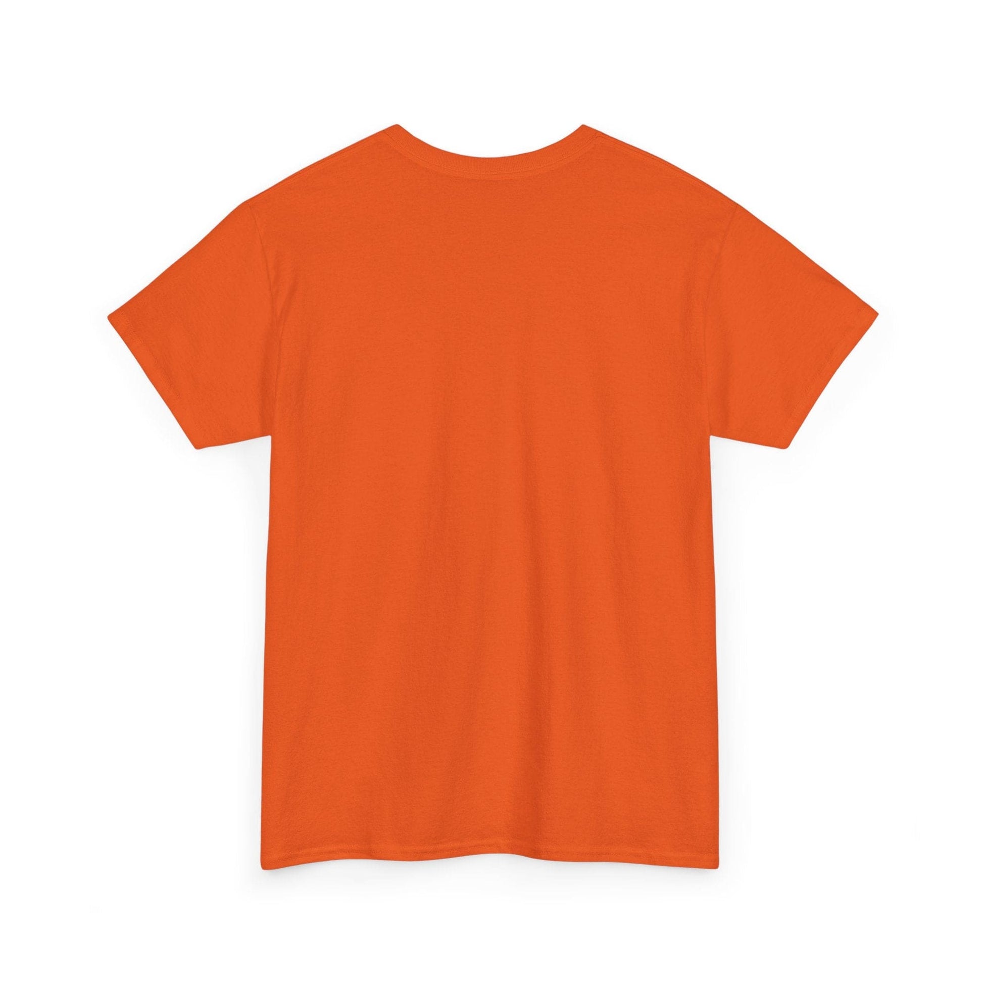 0000 Unisex Heavy Cotton Tee - HCWP 