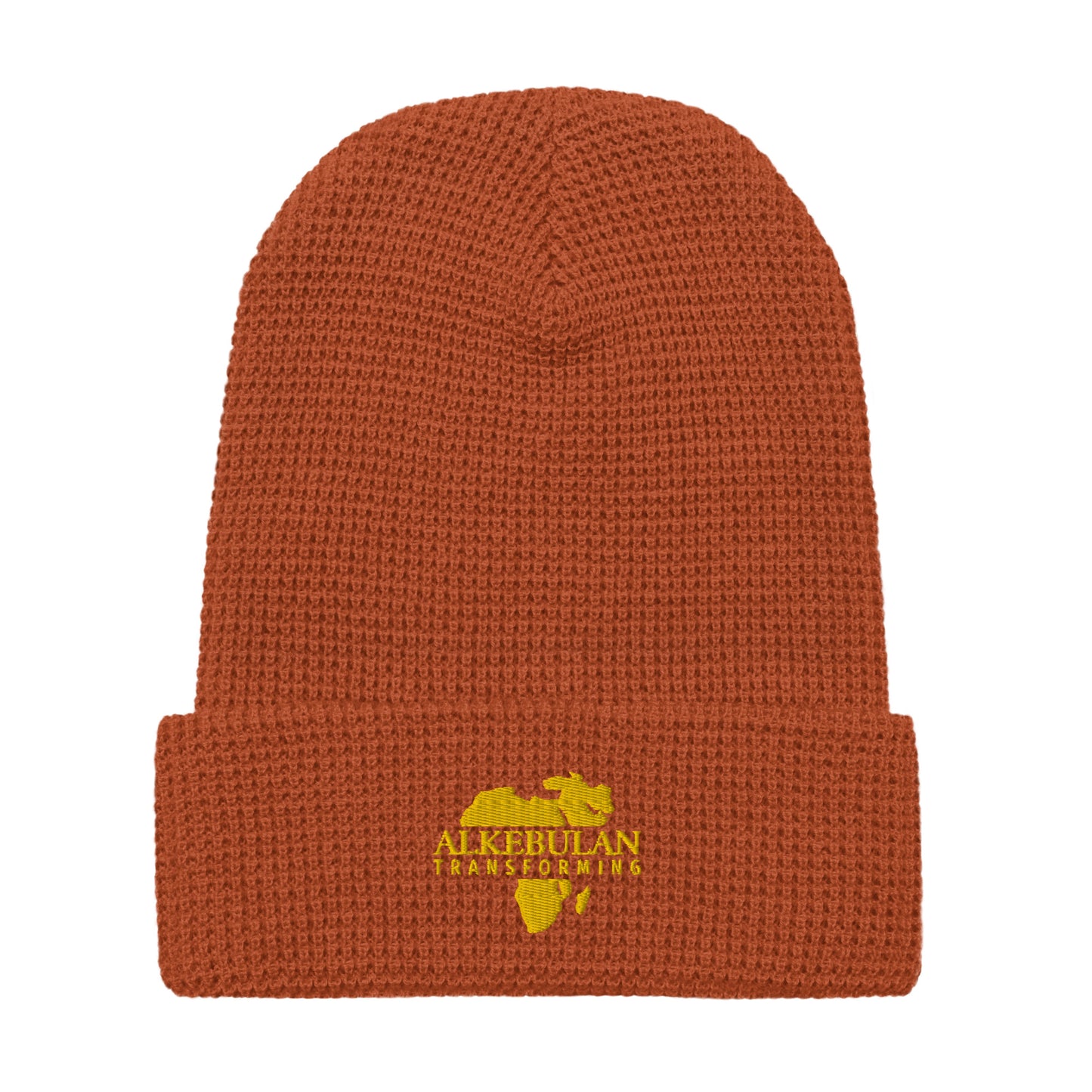 Alkebulan Transforming beanie - HCWP 